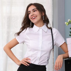 Classic Dress Shirt